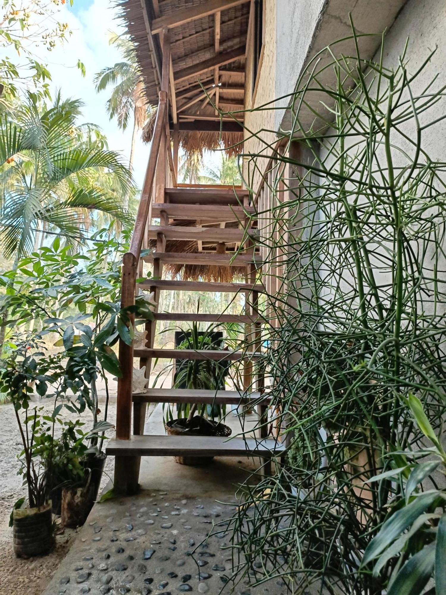 Zhaya'S Beach & Cottages 爱妮岛 外观 照片