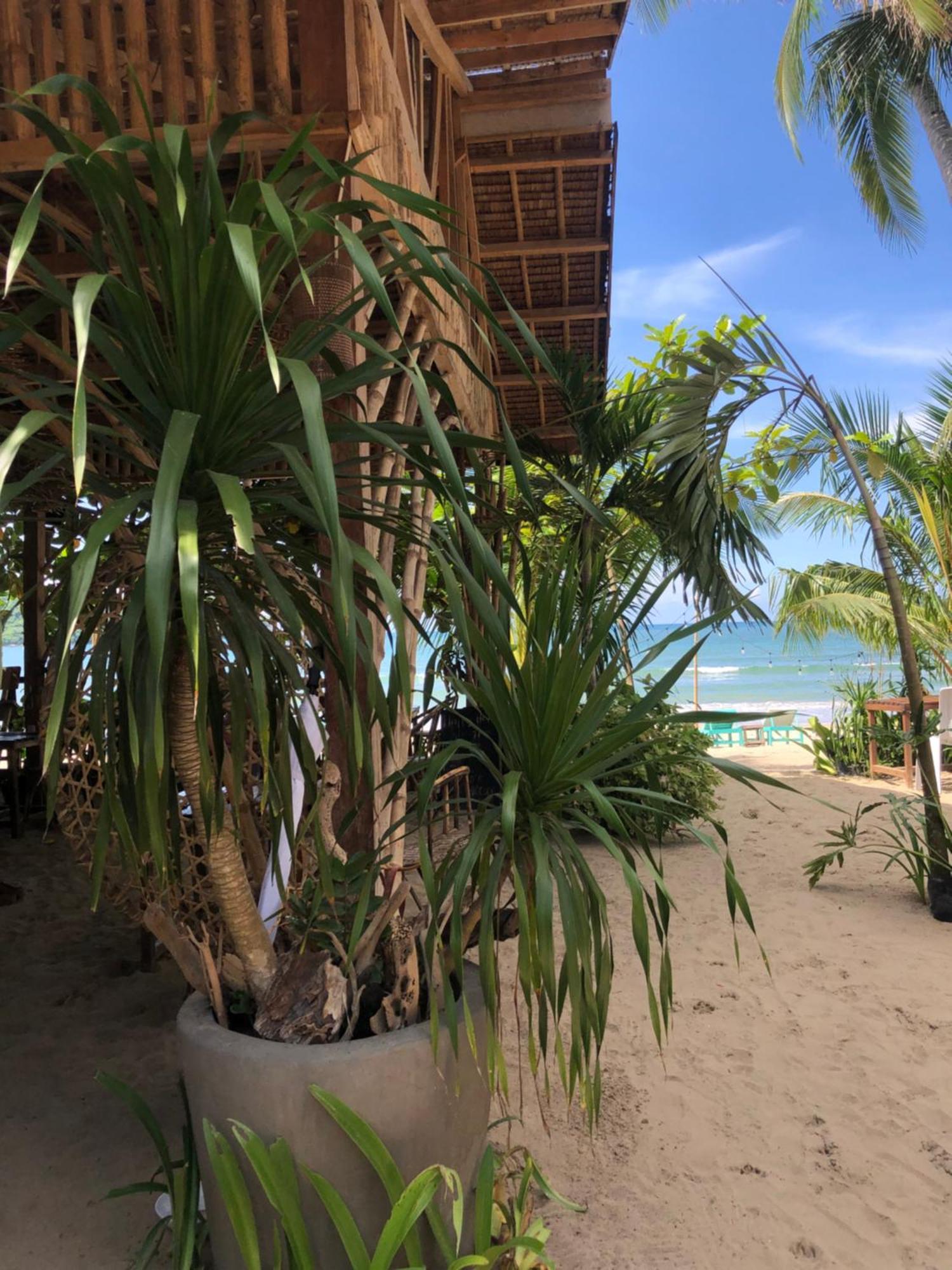 Zhaya'S Beach & Cottages 爱妮岛 外观 照片